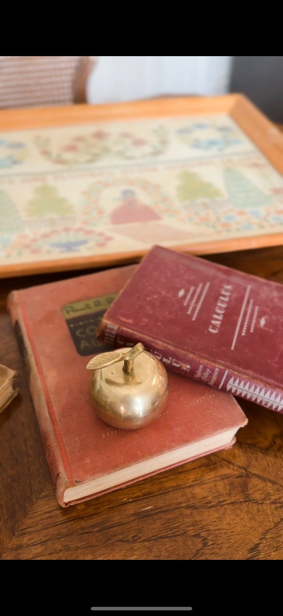 Antique & Vintage School Books