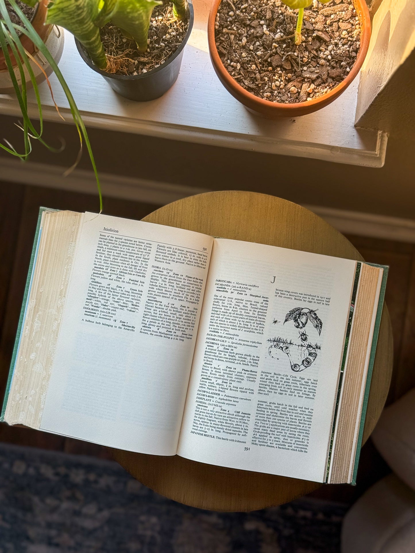 Wyman’s Gardening Encyclopedia